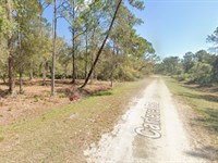 Lake Access FL Lot Only $250/Month : Georgetown : Putnam County : Florida