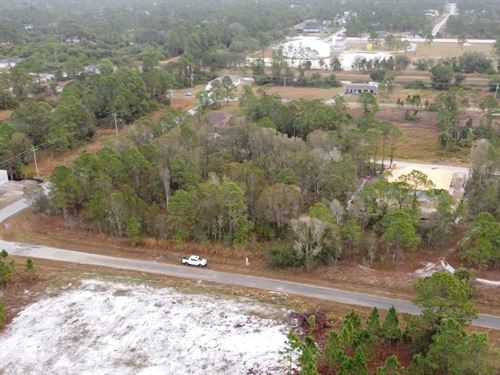 Your Dream Starts Here : Lehigh Acres : Lee County : Florida