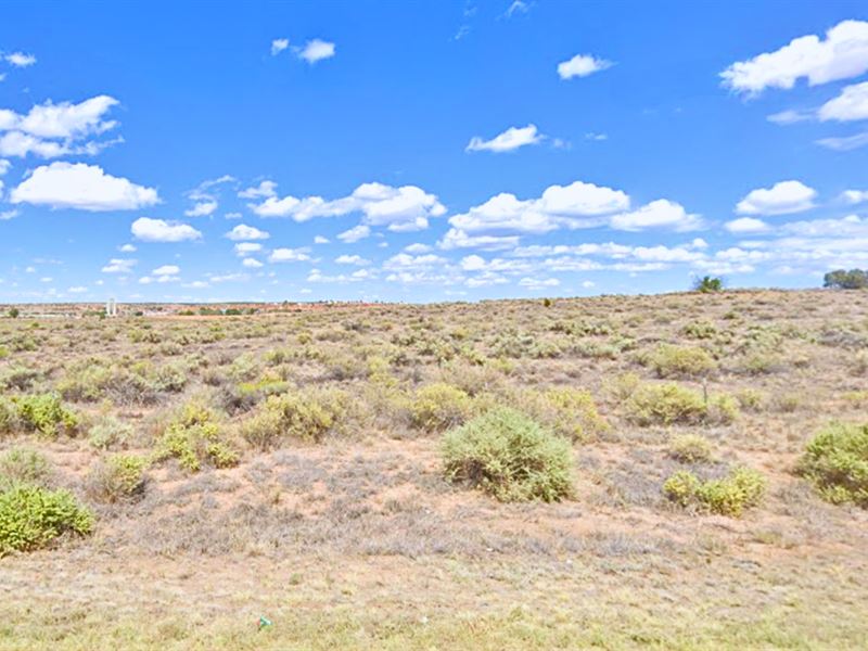 Best Adjacent Land Deal of 2025 : Sanders : Apache County : Arizona