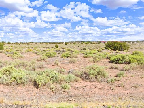 Triple Your Space 3.45 Acres : Sanders : Apache County : Arizona
