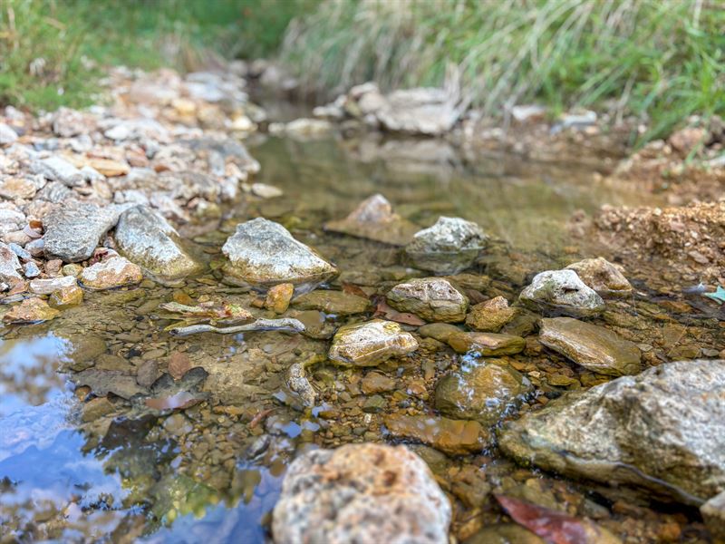 North Fork River Ridge : Tecumseh : Ozark County : Missouri