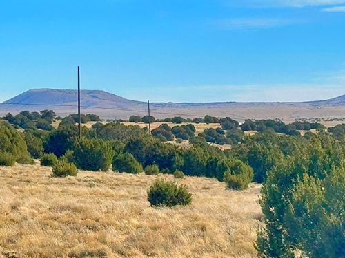 Mountain Views in Show Low Pines : Concho : Apache County : Arizona