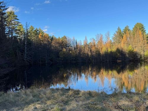 49 Acres in Orange County, VT : East Corinth : Orange County : Vermont