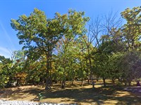 Rare 0.36 Acre Lot for $99/Down : Village Of Four Seasons : Camden County : Missouri