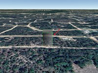 South of Lady Slipper Lake, $150/Mo : Interlachen : Putnam County : Florida