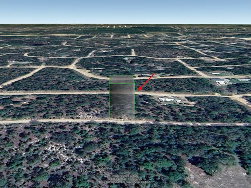 South of Lady Slipper Lake, $150/Mo : Interlachen : Putnam County : Florida