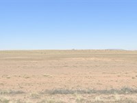 Buy Your Huge 40 Acres Arizona Land : Winslow : Navajo County : Arizona
