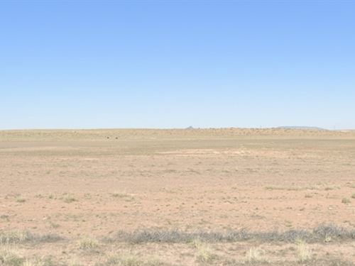 Buy Your Huge 40 Acres Arizona Land : Winslow : Navajo County : Arizona