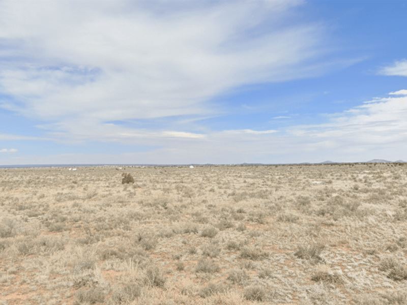 The Cheapest 1.21 Acre Arizona Land : Valle : Coconino County : Arizona