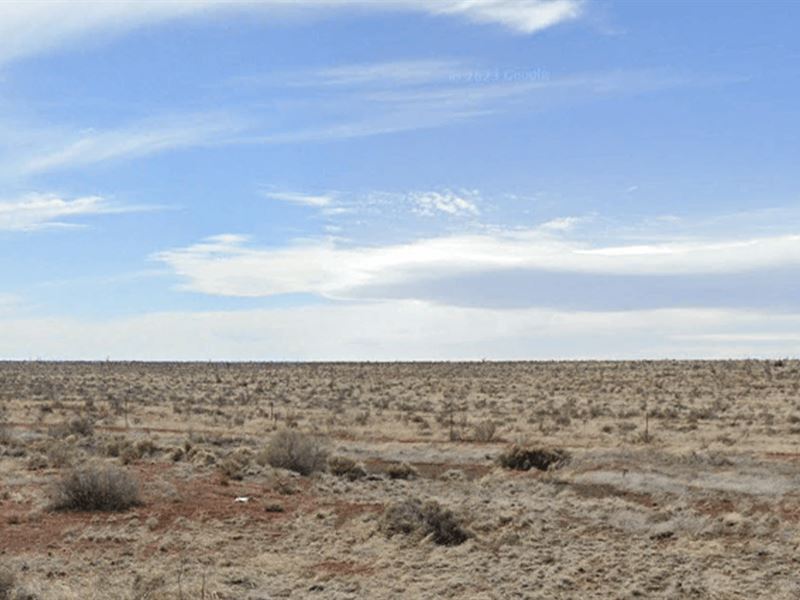 1.15 Coconino Acres for $49/Down : Valle : Coconino County : Arizona