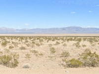 Land in AZ for Just $49/Down : Kingman : Mohave County : Arizona