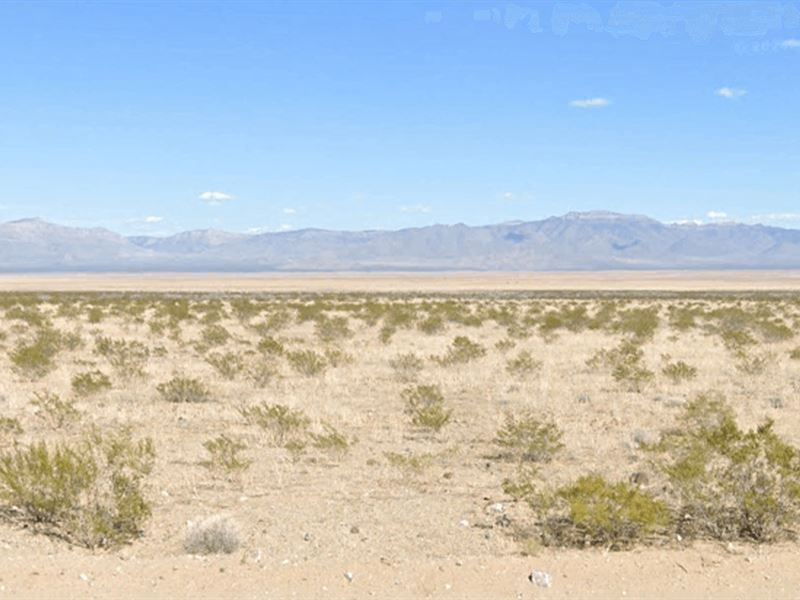 Land in AZ for Just $49/Down : Kingman : Mohave County : Arizona
