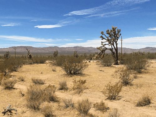 This 1.06 Acre Lot for $49/Down : Kingman : Mohave County : Arizona