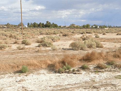 .24 Acres of Land for $49/Down : Pahrump : Nye County : Nevada