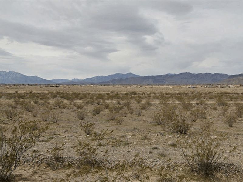 Just $49/Down. Limited Time Deal : Pahrump : Nye County : Nevada