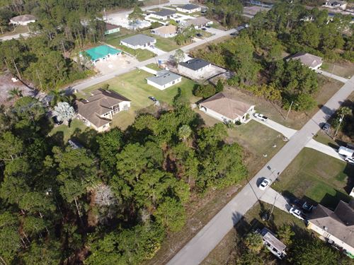 Lot for Your Dream Home : Lehigh Acres : Lee County : Florida