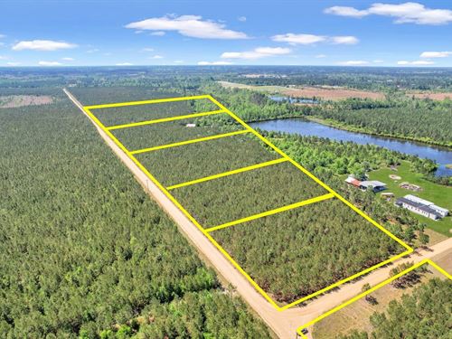 Tract 3 in Ocelot Road in Bacon Cou : Alma : Bacon County : Georgia