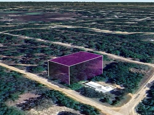 Cash Deal for Great 0.22 Acre : Interlachen : Putnam County : Florida