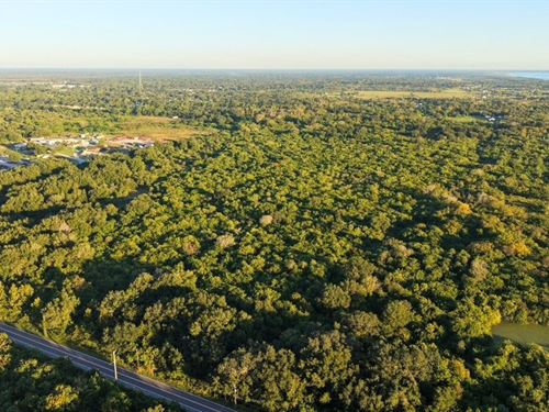 Let Nature Be Your Neighbor : Mims : Brevard County : Florida