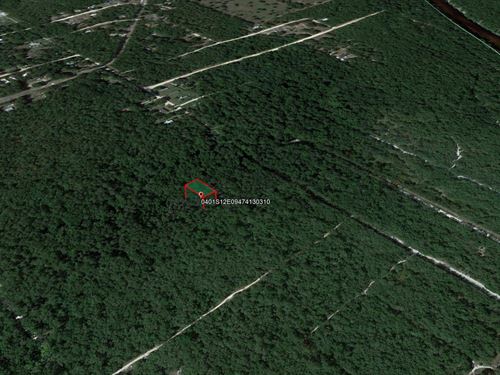 .23 Acre in Live Oak, $150/Mo : Live Oak : Suwannee County : Florida
