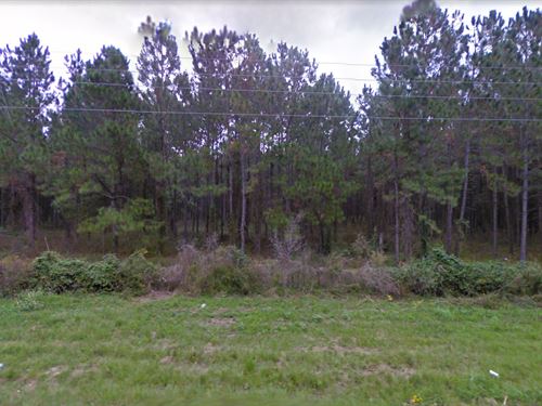 .23 Acre in Live Oak, $150/Month : Live Oak : Suwannee County : Florida