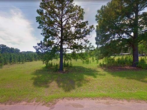 .27 Acre in Hemphill, $175/Month : Hemphill : Sabine County : Texas