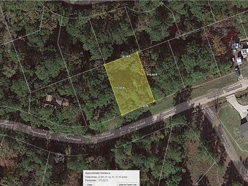 .19 Acre in Coldspring, $200/Mo : Coldspring : San Jacinto County : Texas