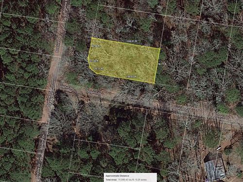 .19 Acre in Coldspring, $200/Mo : Coldspring : San Jacinto County : Texas