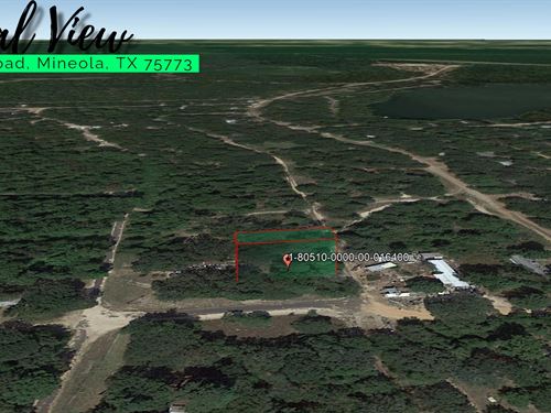 .09 Acre in Mineola, $175/Mo : Mineola : Smith County : Texas