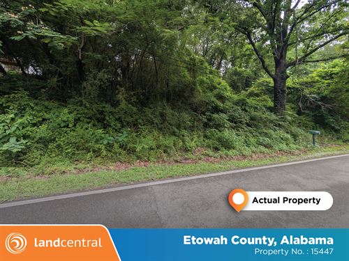 .25 Acres in Etowah, AL : Etowah : Alabama