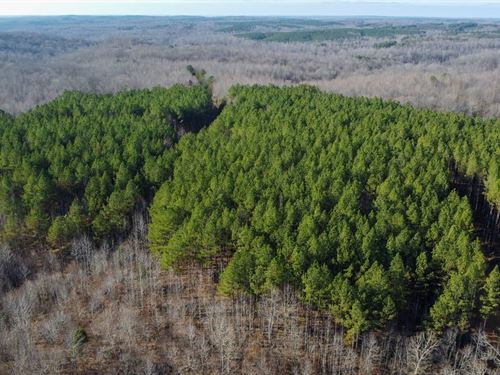 South Fork Tract : Stewart : Houston County : Tennessee