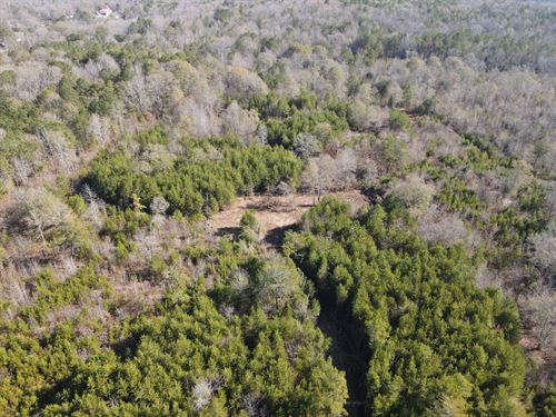 20 Acres in Talladega County : Eastaboga : Talladega County : Alabama