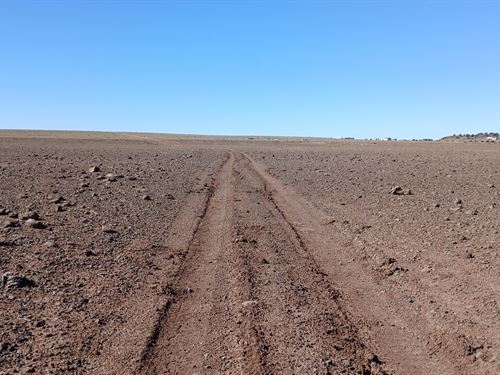 Where Possibility Meets Horizon : Concho : Apache County : Arizona