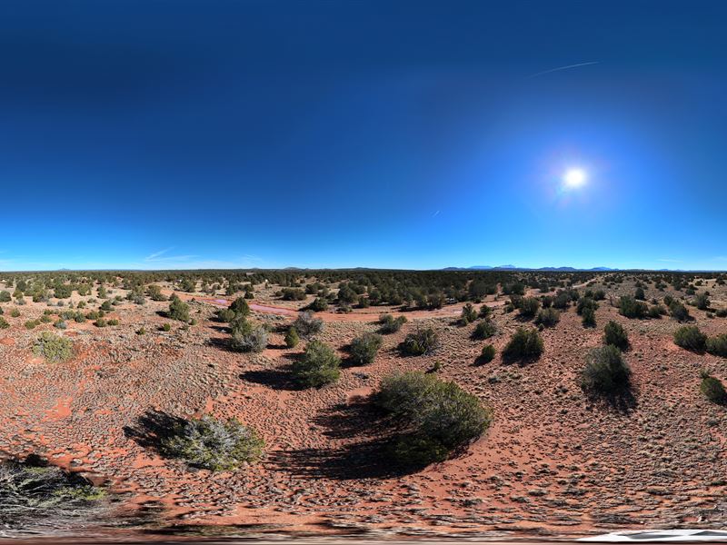 Pure AZ Freedom Near Grand Canyon : Valle : Coconino County : Arizona