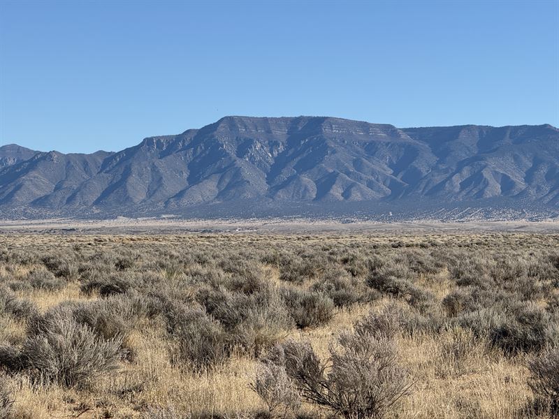 Quiet 5 Acre Desert Escape : Los Lunas : Valencia County : New Mexico