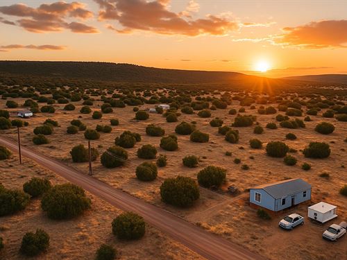 1.13 Acres in Concho, $200/Mo : Concho : Apache County : Arizona