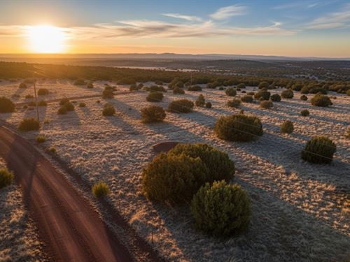1.71 Acre Mountain Views, Surveyed : Concho : Apache County : Arizona