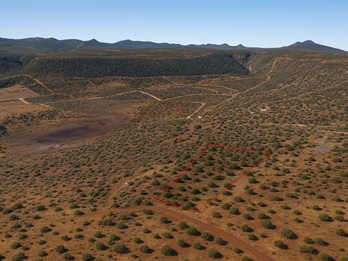 1.71 Acre Mountain Views, Surveyed : Concho : Apache County : Arizona