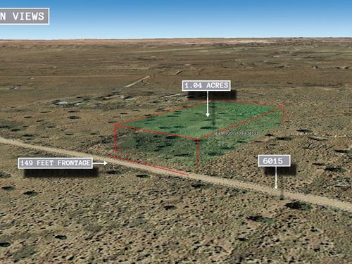 1.04 Acres in Saint Johns, $150 : Saint Johns : Apache County : Arizona