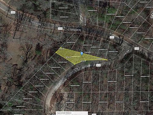 .16 Acre in Pittsburg, $150/Mo : Pittsburg : Camp County : Texas