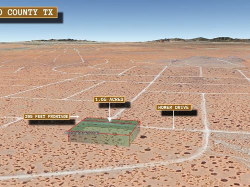 1.65 Acres in El Paso, $550/Mo : El Paso : Texas