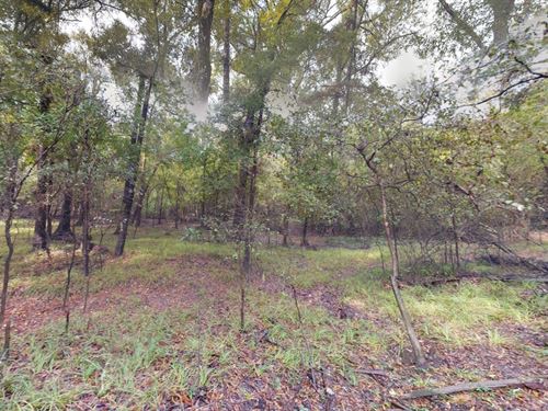 .69 Acre in Cleveland, $375/Mo : Cleveland : Liberty County : Texas