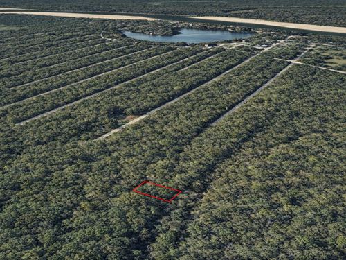 .12 Acre in Cleveland, $150/Mo : Cleveland : Liberty County : Texas