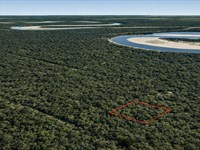 .87 Acre Wooded Retreat Near Lake : Cleveland : Liberty County : Texas