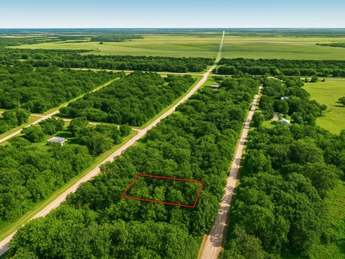.17 Acre in Trinity, $225/Mo : Trinity : Walker County : Texas