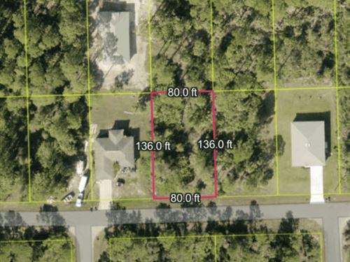 Florida Dream Awaits : Lehigh Acres : Lee County : Florida