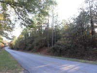 Country Living-Home Site-Timber : Marbury : Autauga County : Alabama