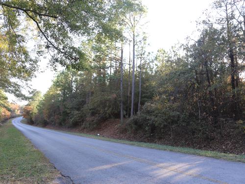 Country Living-Home Site-Timber : Marbury : Autauga County : Alabama