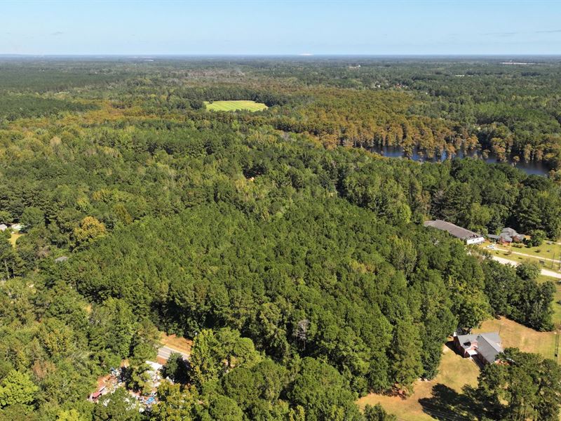 .98 Acres of Wooded Residential : Sumter : Sumter County : South Carolina