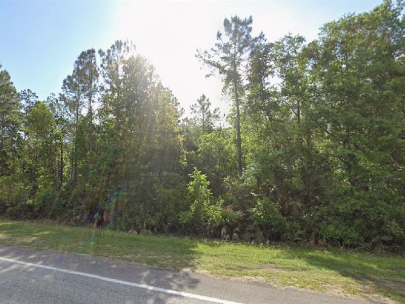 Farm-Friendly Land at $391/Mo : Palatka : Putnam County : Florida